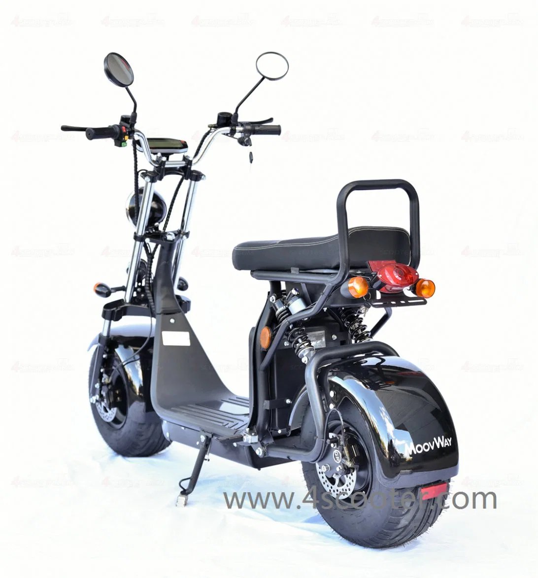 1000W 1500W 2000W Coc/EEC/CE Legal Electric Bike Motorcycle City Coco Scooter