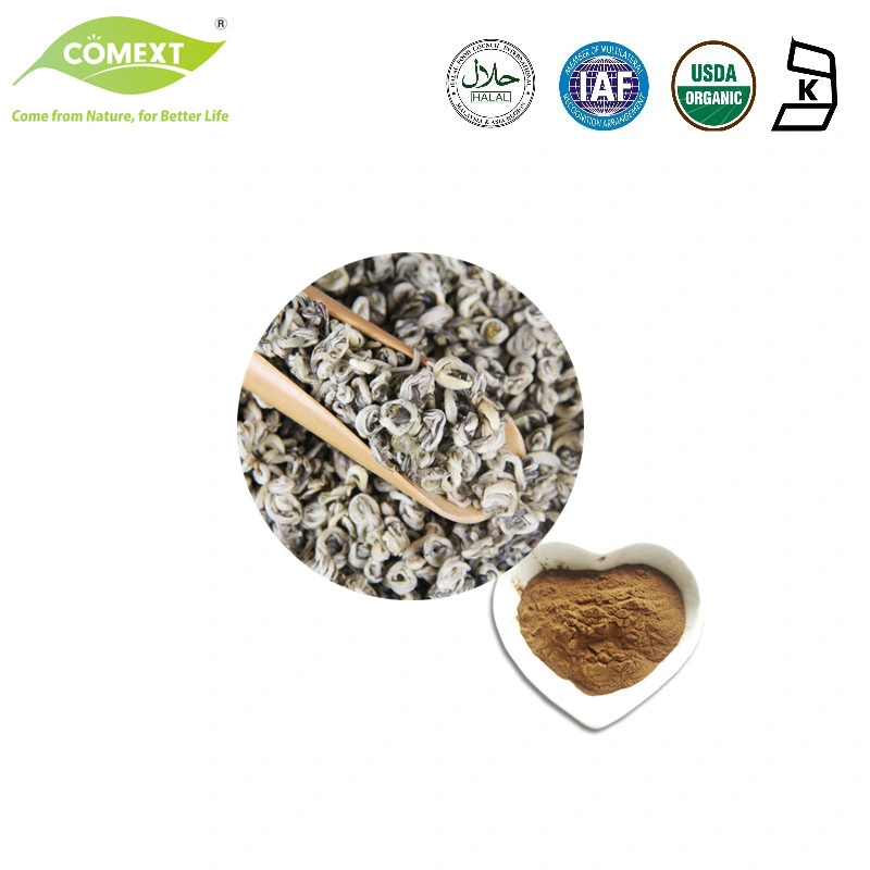 OEM ODM Servicio Comext &amp;Camellia Sinensis extracto de té verde el 25% Polifenoles