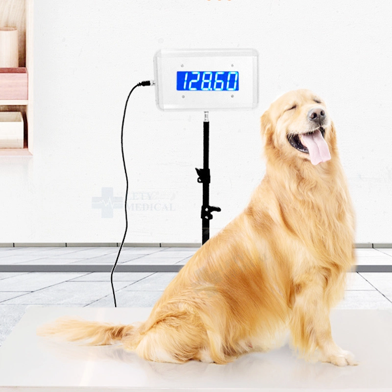 Plate-forme en acier inoxydable vétérinaire échelle Postal Numérique Échelle de l'animal de pesage à fonctionnement PET PET