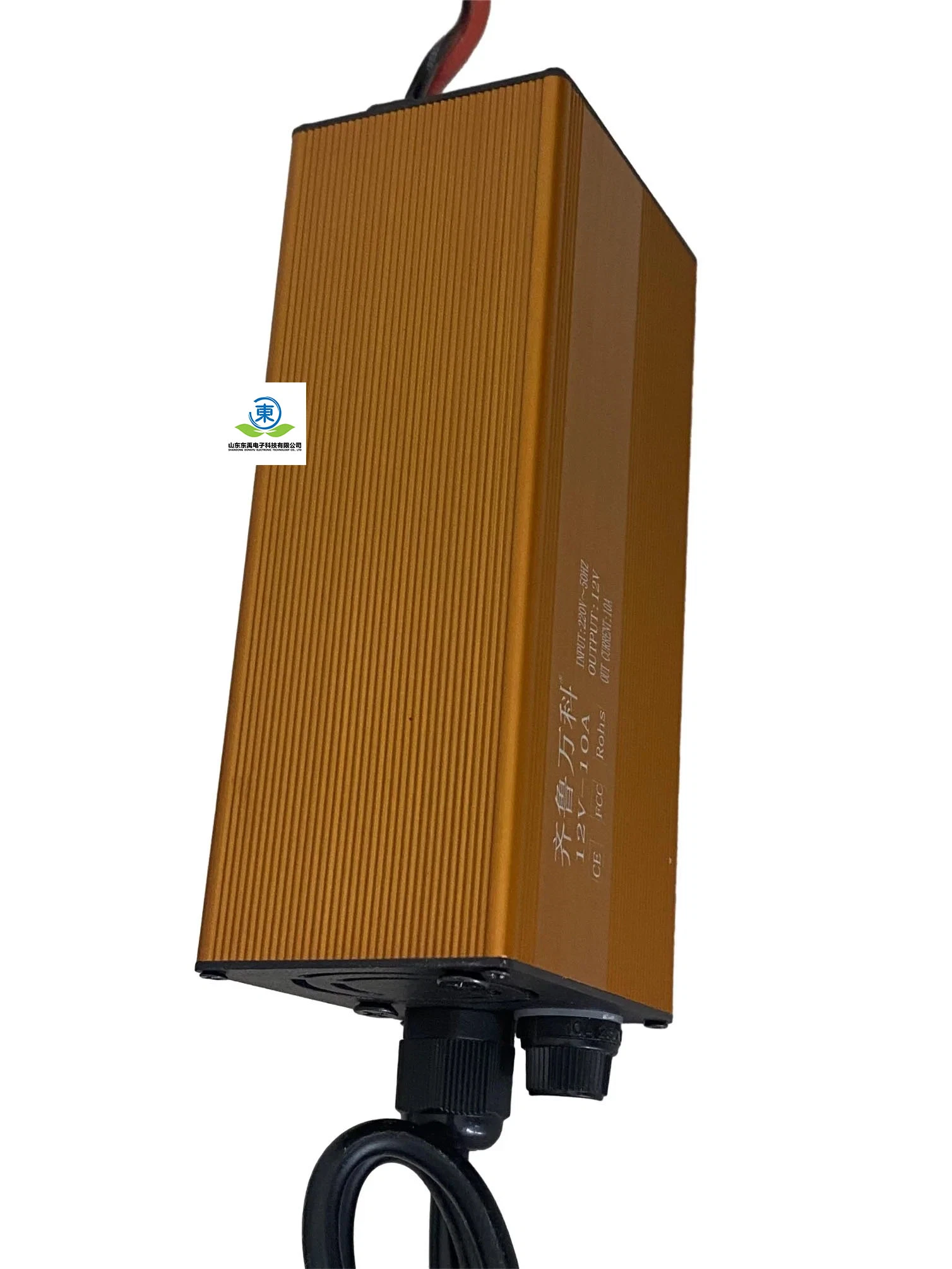 Cargador de batería de ion-litio 12V 24V 36V 72V 84V 48V Cargador de batería de scooter eléctrico eBike LiFePO4 personalizado