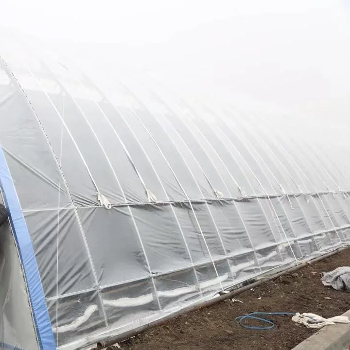 Factory Wholesale/Supplier Vegetable Agricultural Plastic Film Greenhouse for Sale