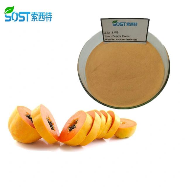 Natural Fruit Big Breast Medicine Green Papaya Powder