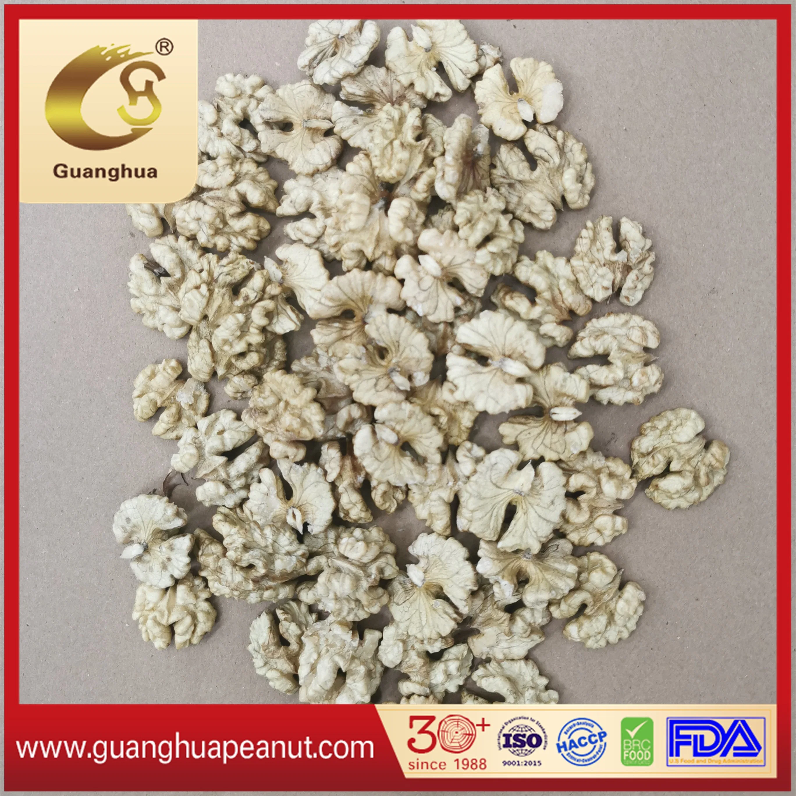 Walnut in Shell Extra Quality Papery Healthy Delicious Tasty Cheap New Crop