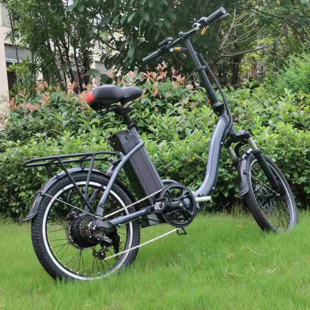 New Color 48V 350W Electric Bike 20"*2.125 Folding Ebike Rear Hub Motor Speed 45km/H with USB Charging Port for Woman