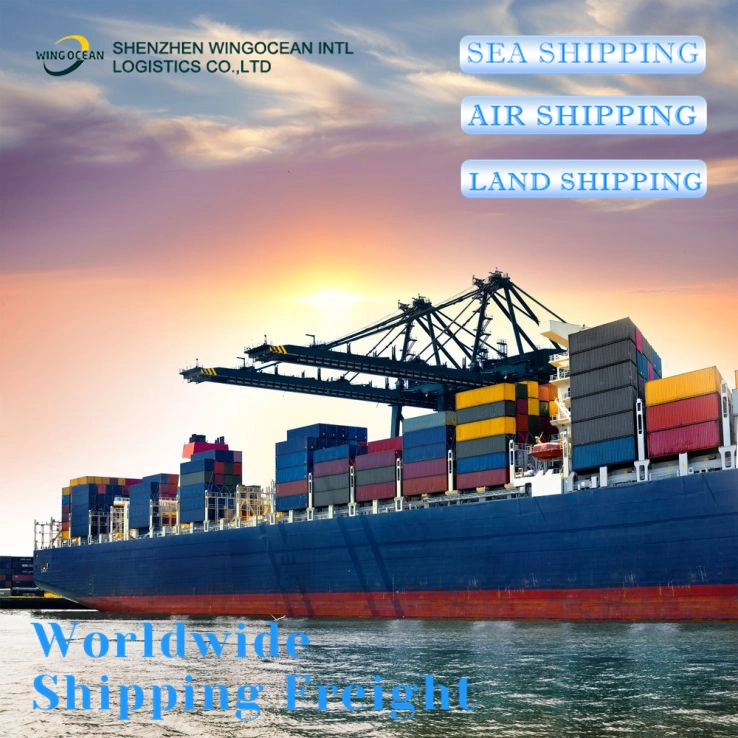 Sea/Air/Express Service From China by Wingocean Logistics