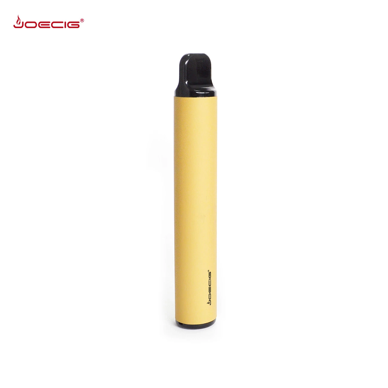 Shenzhen Factory Price Disposable/Chargeable E Cigarette Vape Pen