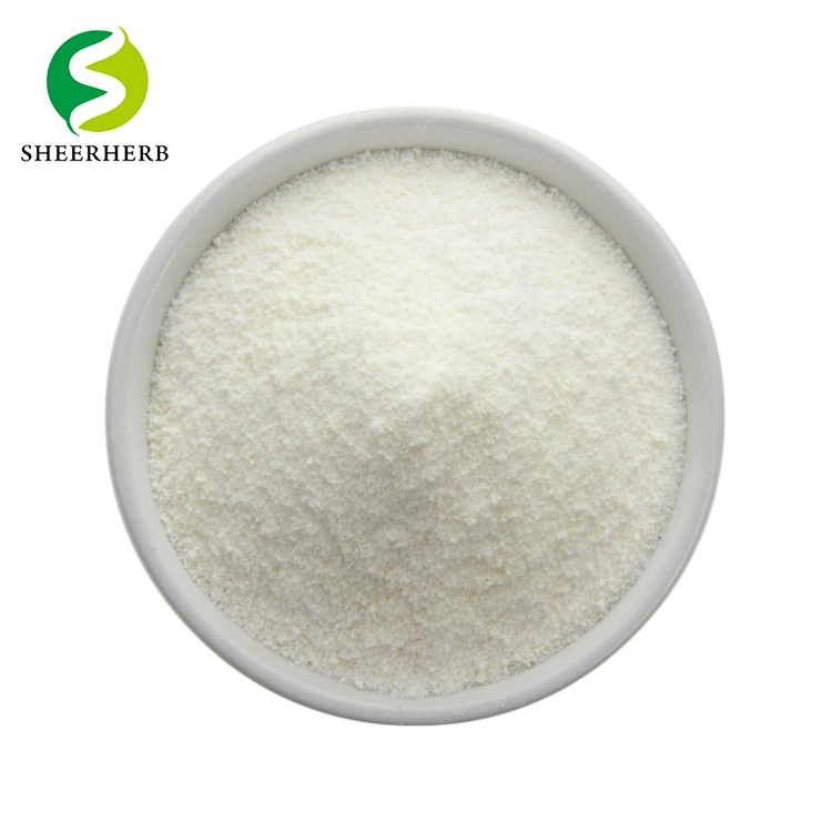 Factory Supply Xanthan Gum Powder with Best Price Non GMO Xanthan Gum