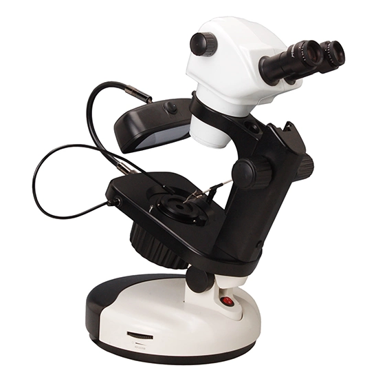 BestScope BS-8060T High Bright LED Point Light Trinocular Gemological Microscope مع مصدر ضوء الفلورسنت