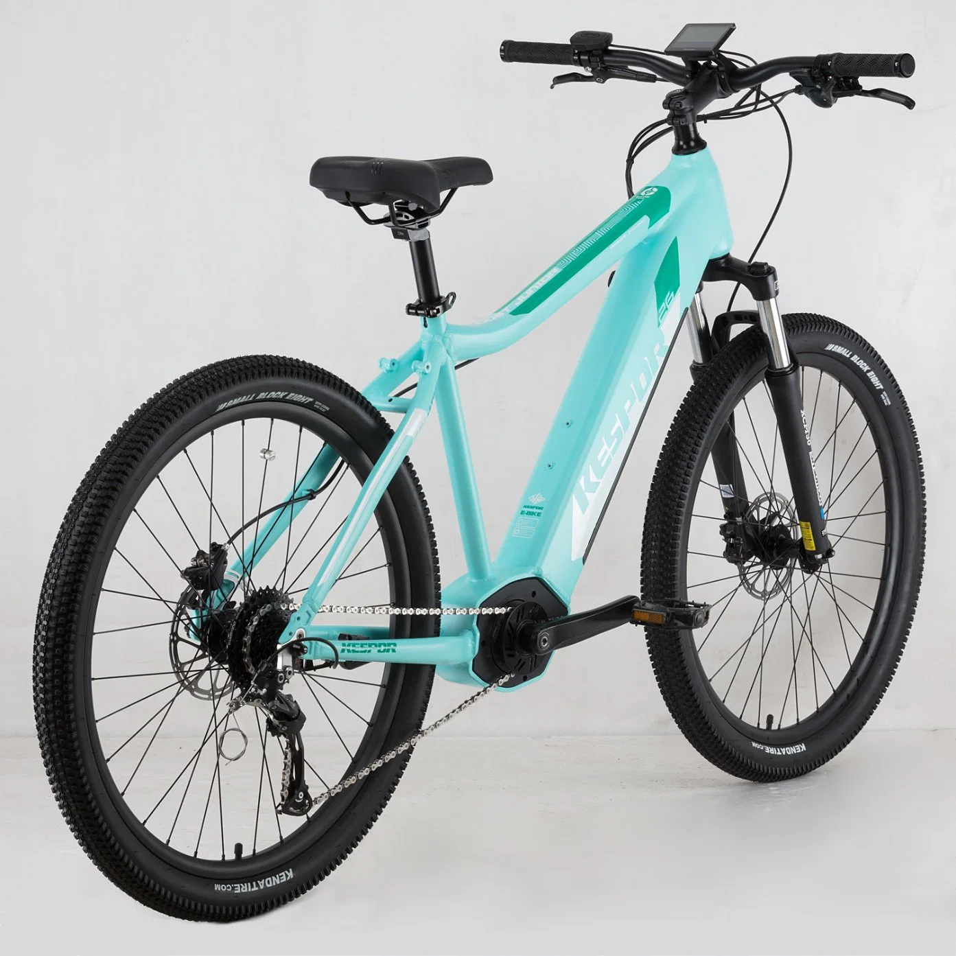 Trendy Design 26 Inch 36V 250W Kids/Junior Electric Bike for Wholesale/Supplier