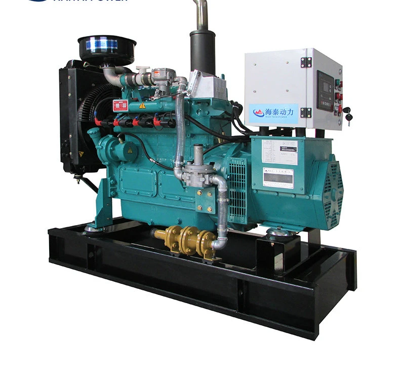 Electricity Biogas 10kw Generator China Gas Engine for Sale