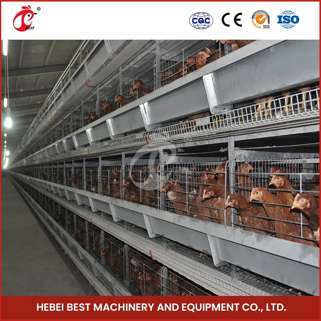 Bestchickencage H Type Layer Cage China Insulated Chicken Layer Coop Manufacturing Free Sample Simple Technical Design Wholesale/Supplier Battery Chicken Layer Cages