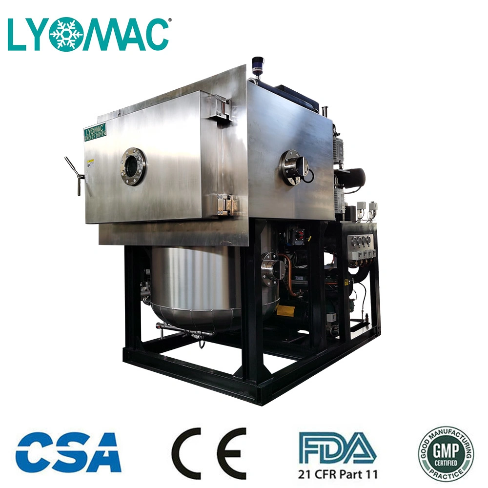 GMP/FDA Complianced Lyotro-10 Freeze Dryer Lyofilizers