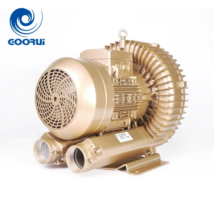 High Capacity Eco-Friendly 3 Phase Regenerative Blowers for Biogas Transportation Solution