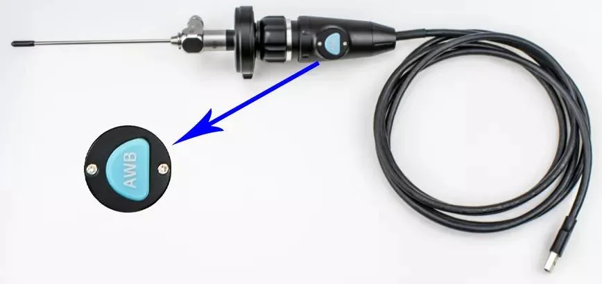 Медицинские HD эндоскопа камеры портативные USB-порт Ent исследования