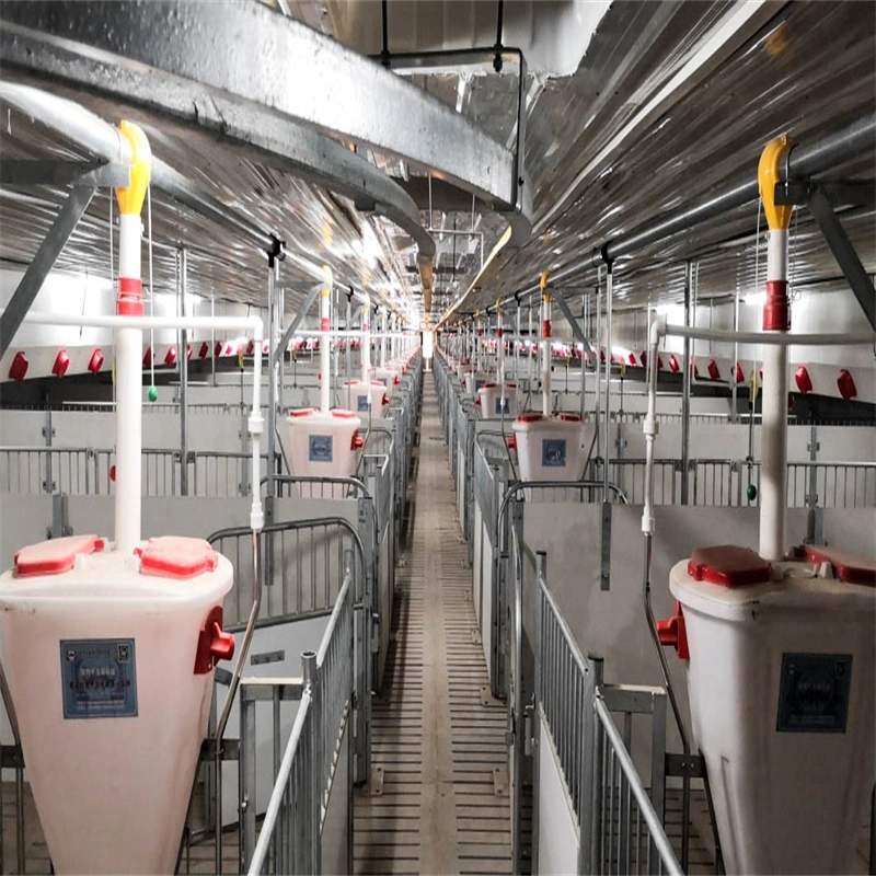 High Rigidity and Big Capacity Pig Farm