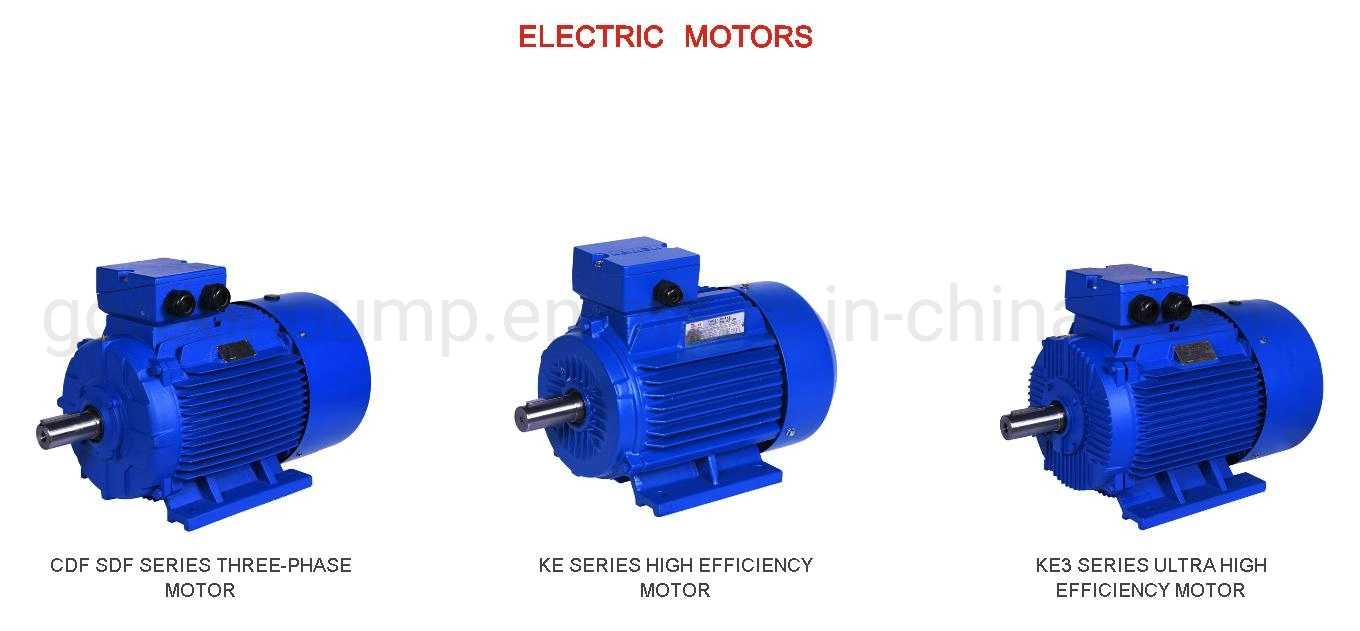 Cdf Sdf Yc Series AC Three Phase Asynchronous Electric Motor Industry Induction Motor