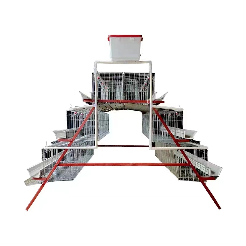 Poultry Farm Equipment 3-4 Tiers Layer Cage Wih Egg Collection for Sale