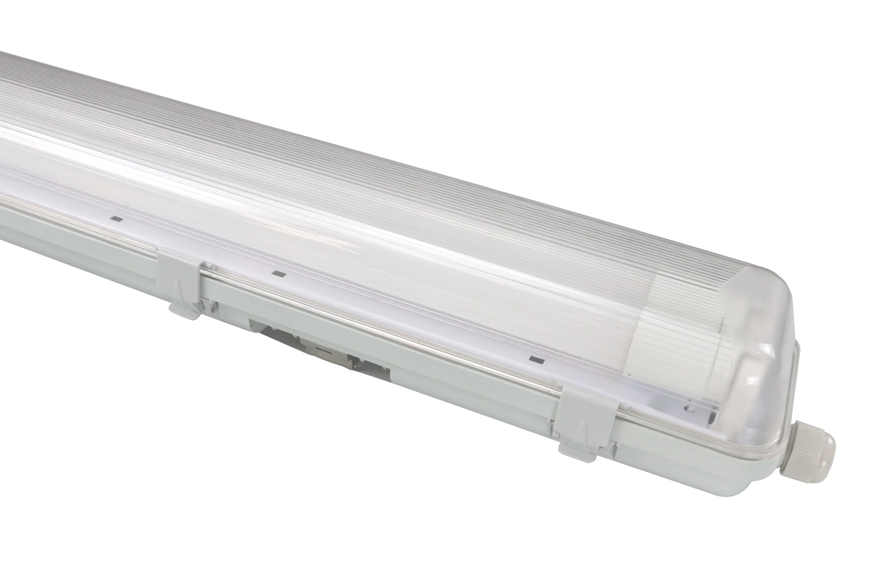 IP65 Ik08 Waterproof Lighting Fitting Fixture for T8 LED Tubes