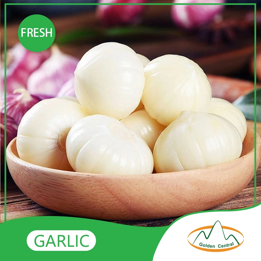 Wholesale/Supplier Export Fresh High quality/High cost performance  Peeled Garlic