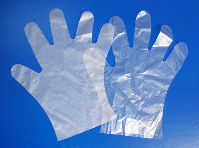 Polyethylene Disposable Gloves HDPE LDPE Poly Gloves Manufacturer in China