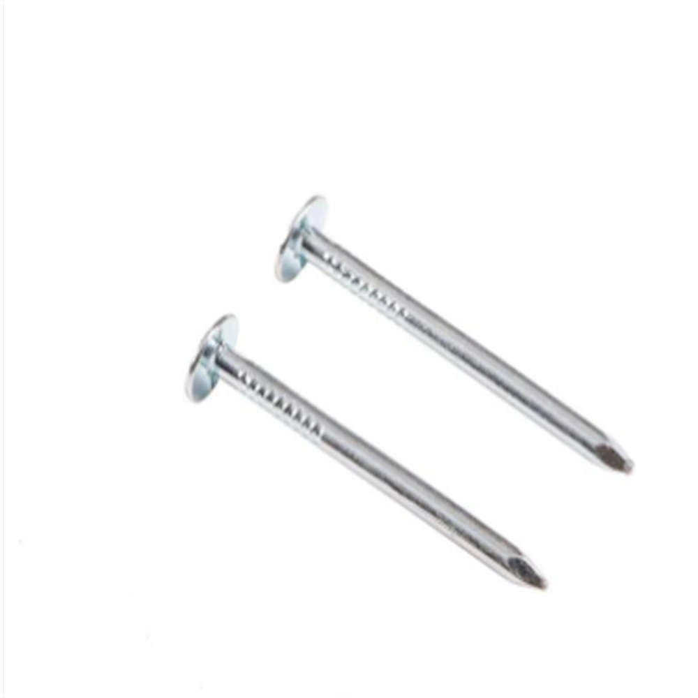 Galvanized/Boat Nail/Thread Nail/Linoleum Nail/Metal Roofing Nail