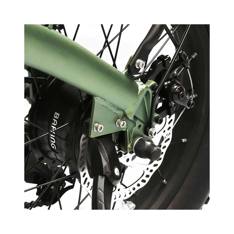 2023 Nova moto de terra elétrica de 500 W, 13 a, 48 V, pneu gordo Mountain Electric Folding Bike