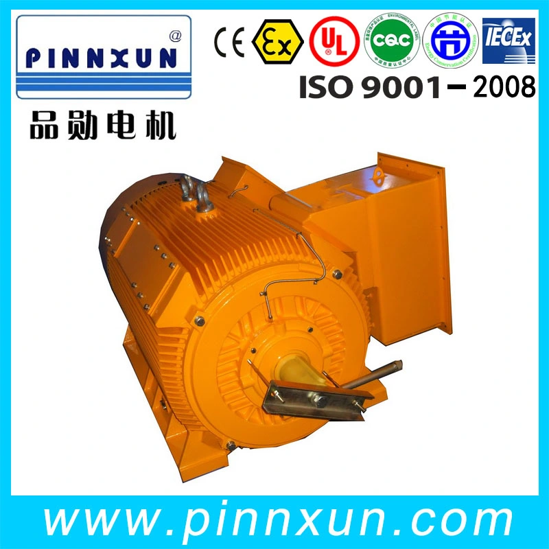 Y2 Series High Voltage Motor 1000rpm 6.6kv 500kw Motor