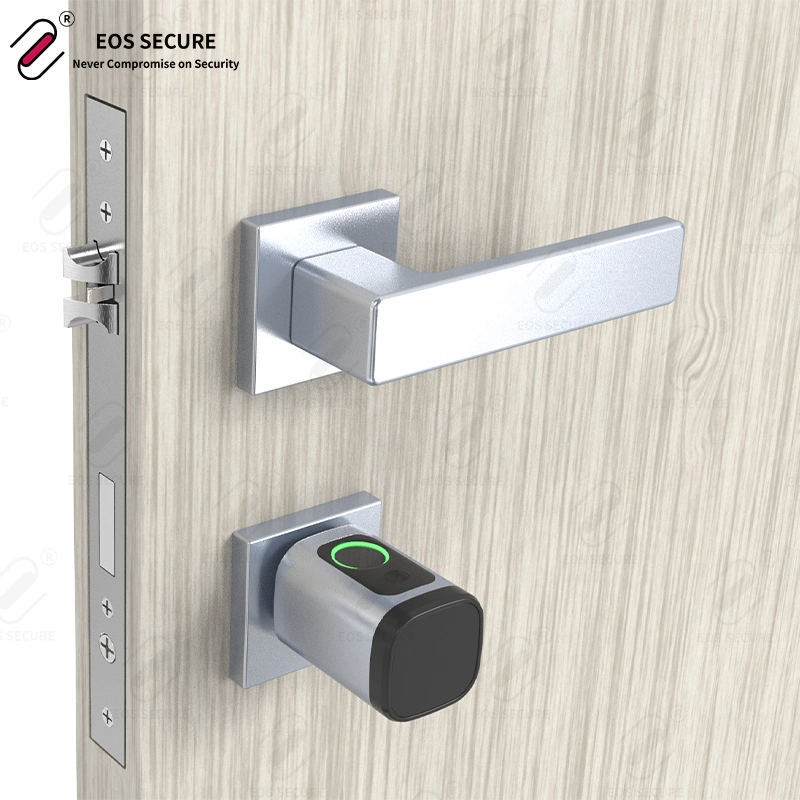 Sistema de bloqueo combinado Euro Fingerprint Waterproof cerradura electrónica inteligente Cilindro de cerradura de puerta con llave de ordenador