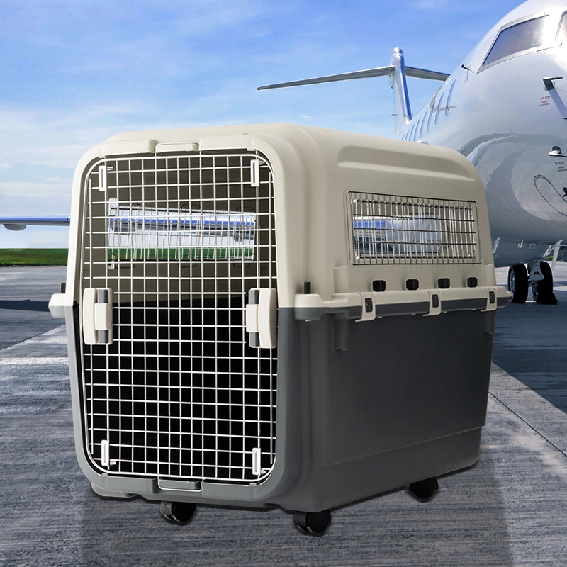 Iata-Zulassung Haustier Hund Carrier Flugreisen Tragbare Katze Transport Transportbox