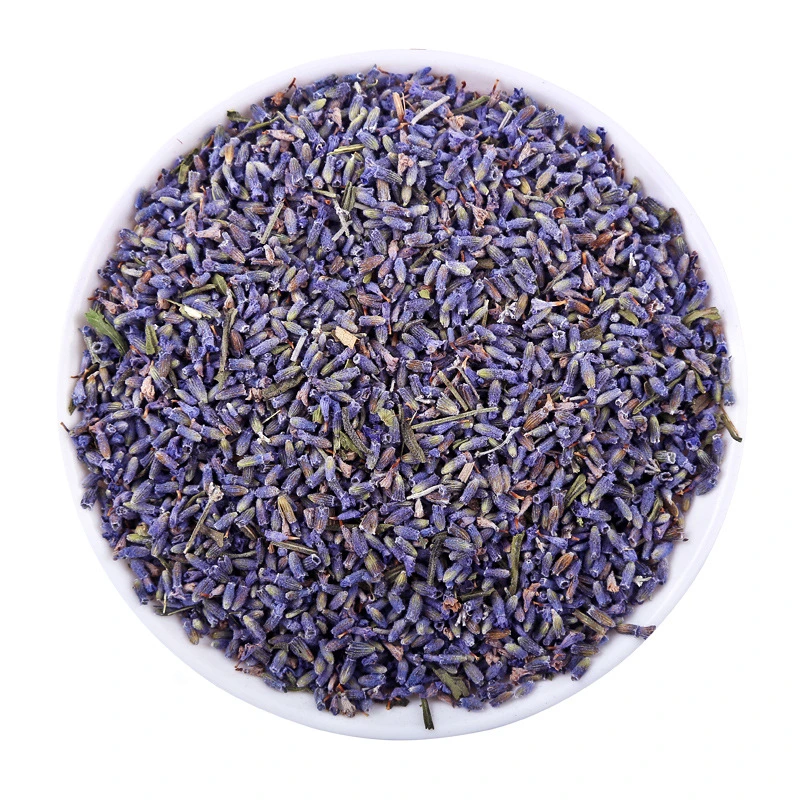 Chinese Herb Medicine Xunyicao Health Tea Skin Care Dried Lavender Flower for Oil Extract