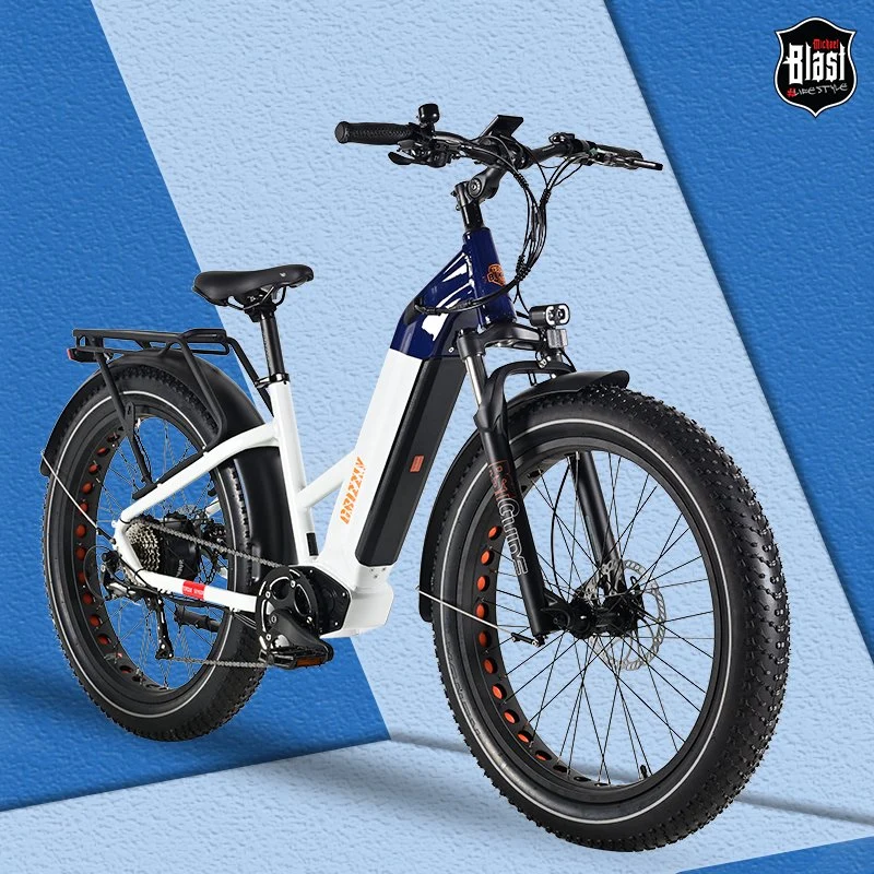 New Type Fast Dirt Mountain Ebike 750W Big Rate Hub Motor Electric Bikes