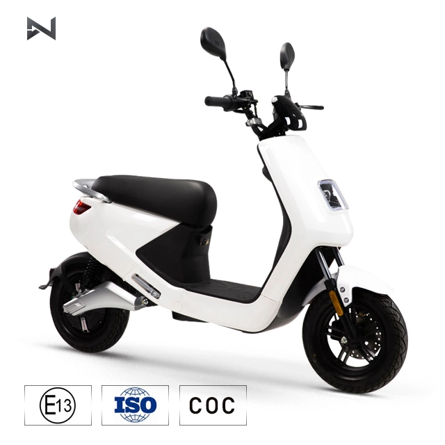 Powerful Electric Motorcycle for Adult 1500W Lithium Battery