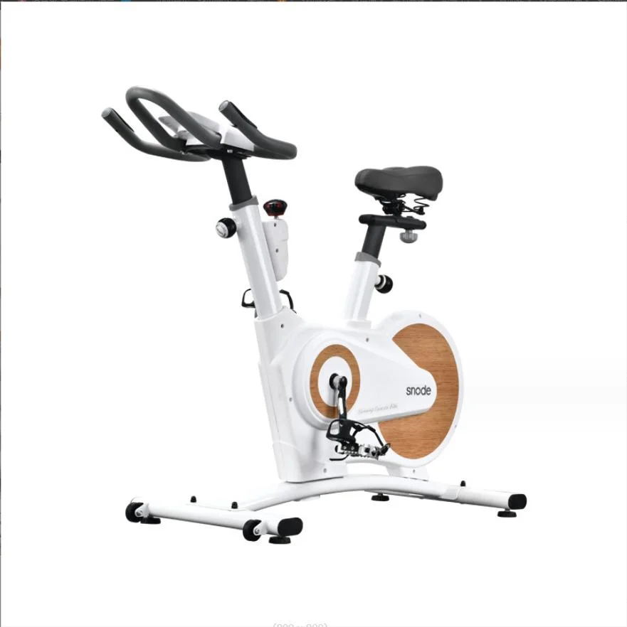 Sport Magnetic Fitness Exercise Spinning Bike Home Gym