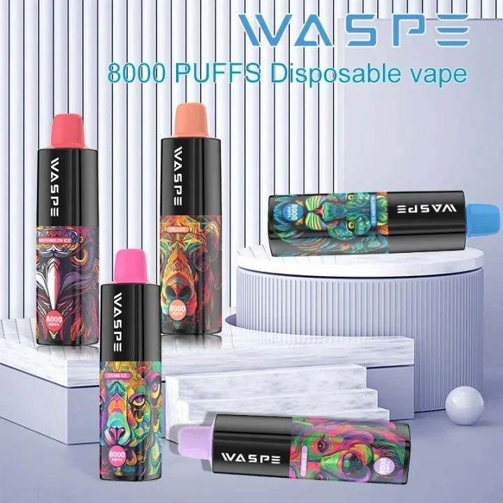 Waspe Maxi 8000puffs Nicotine Disposable/Chargeable Vape Pen 16ml E-Liquid Wholesale/Supplier