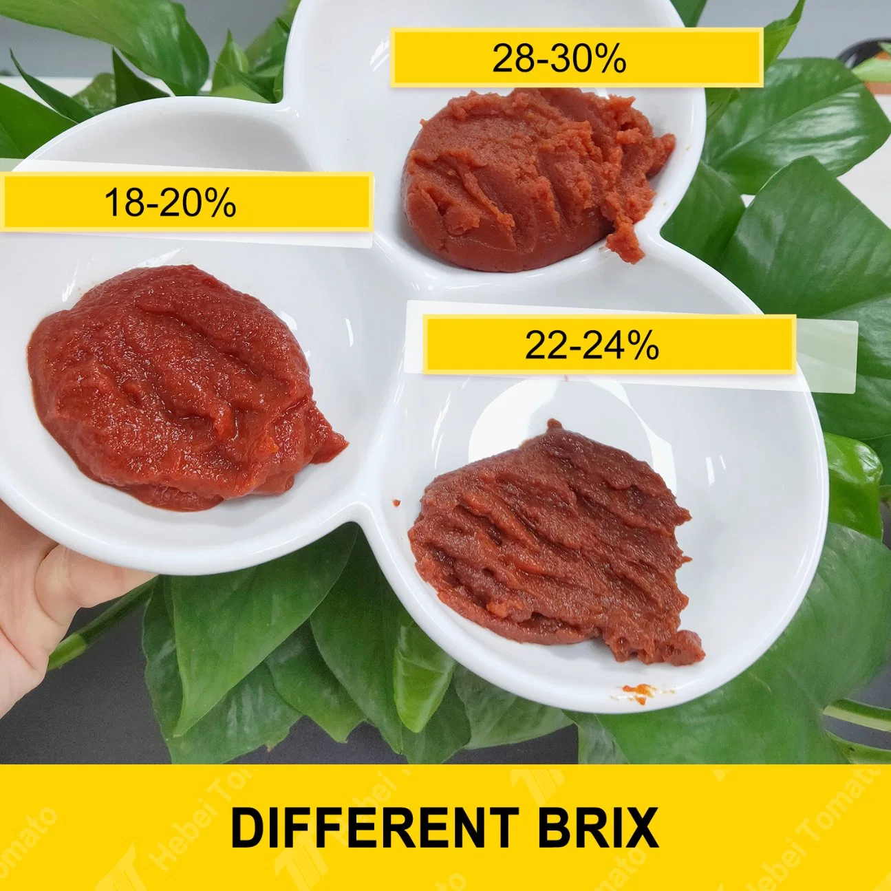 Factory Price 28-30% Brix Canned Tomato Paste 2200g