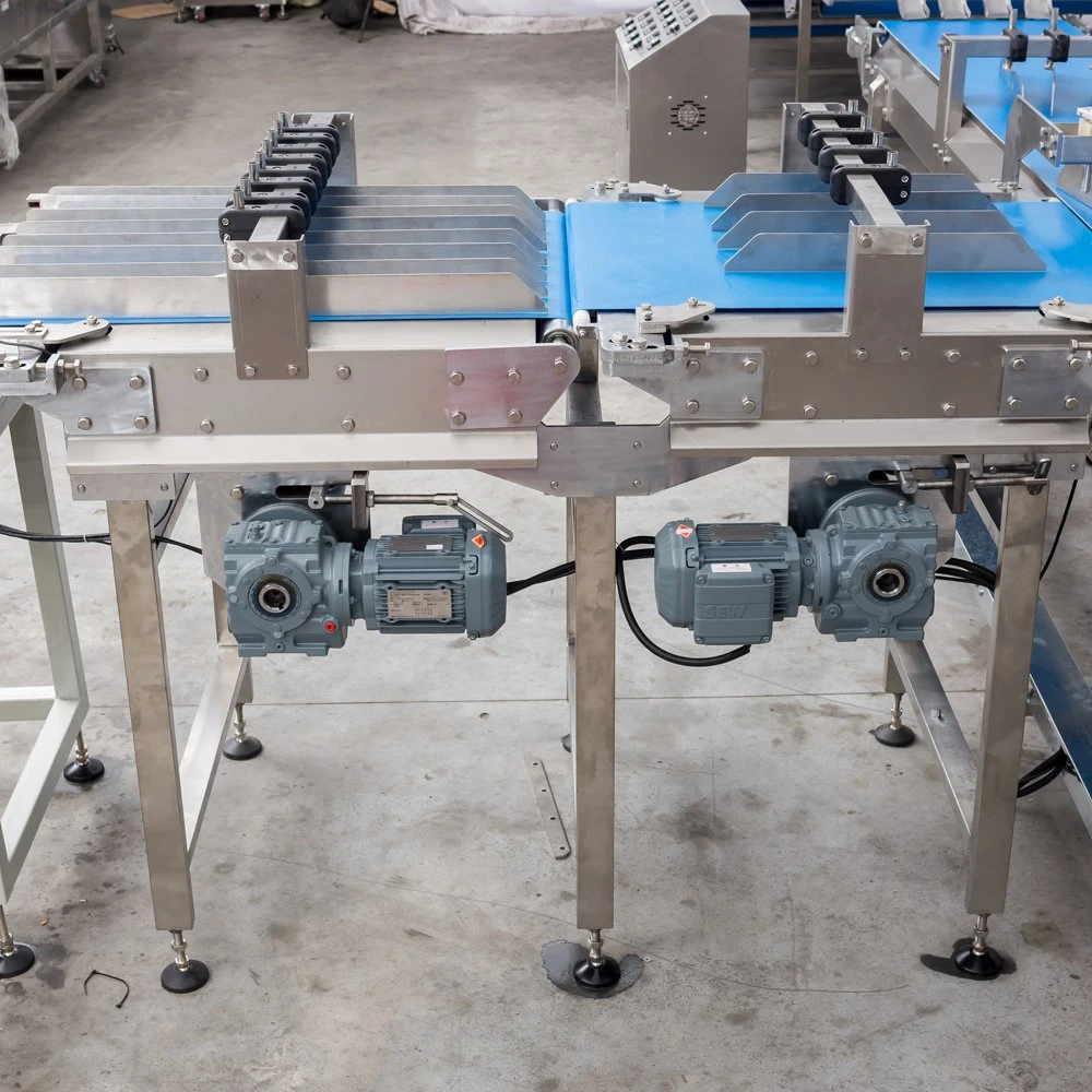 Automatic Biscuit Feeding with Flow Packing Line