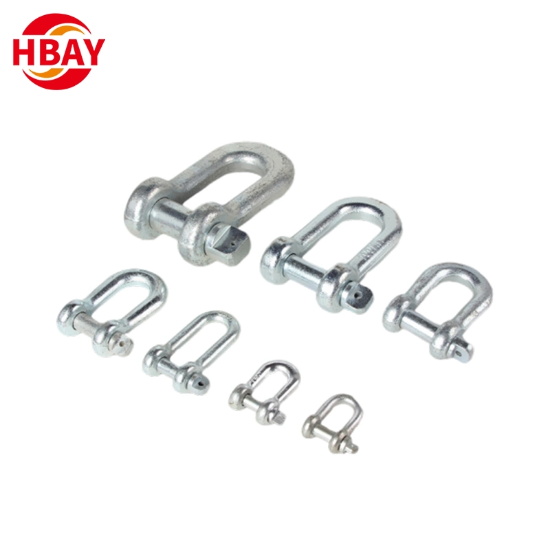 Stainless Steel G210 Screw Pin Anchor Dee Shackle with Bolt for Lifting