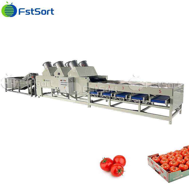 Clasificación de tomate Fstsort burbuja de la máquina Máquina de limpieza Secador de aire equipos de procesamiento de frutas verduras hortalizas tecnología de procesamiento de las empresas procesadoras