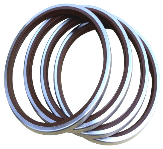 Customized Large out Framework Oil Seal for Rolling Machine