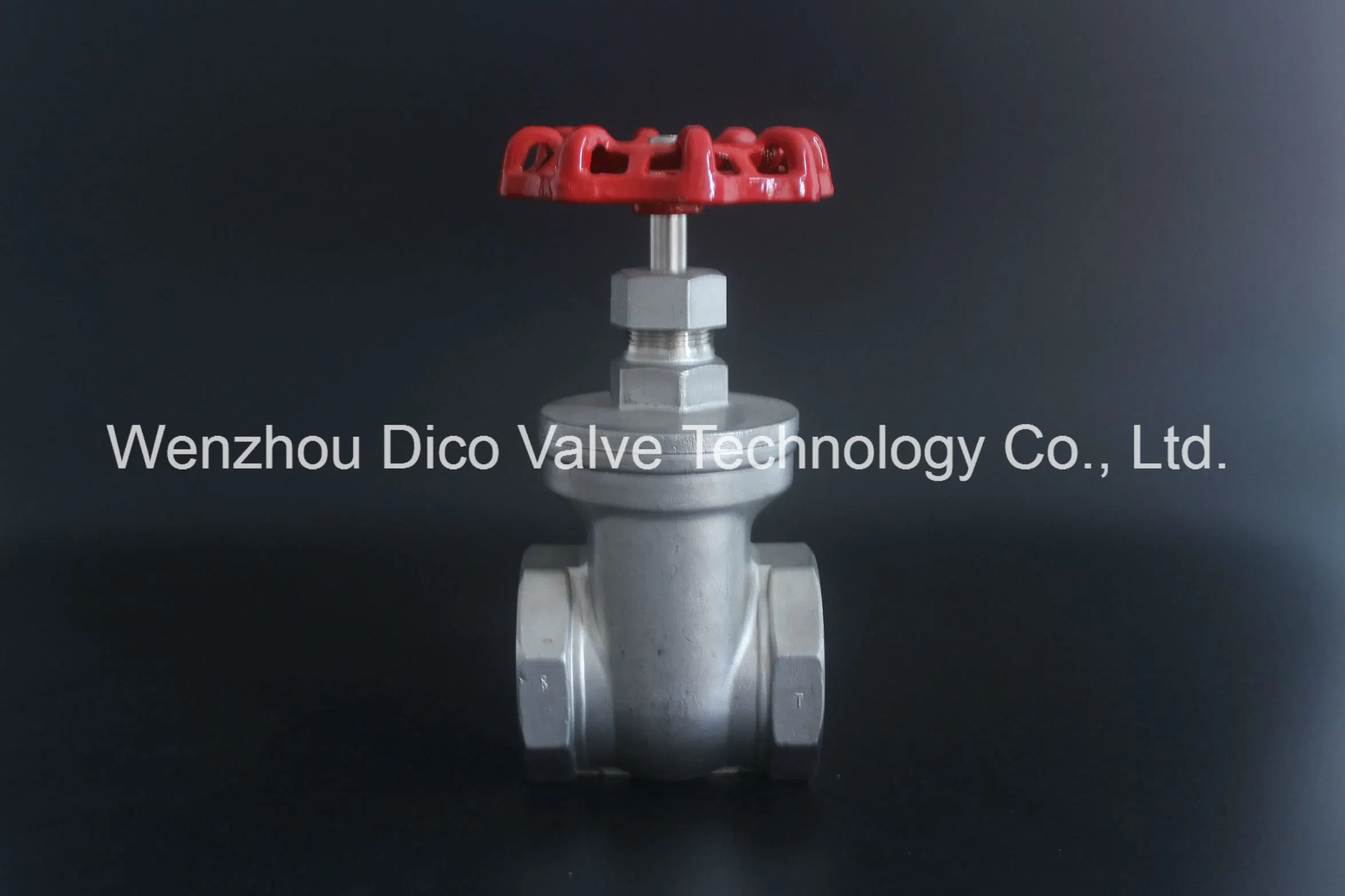 Factory Outlets ANSI Stainless Steel 304/316 Gate Valve with Bsp Thread