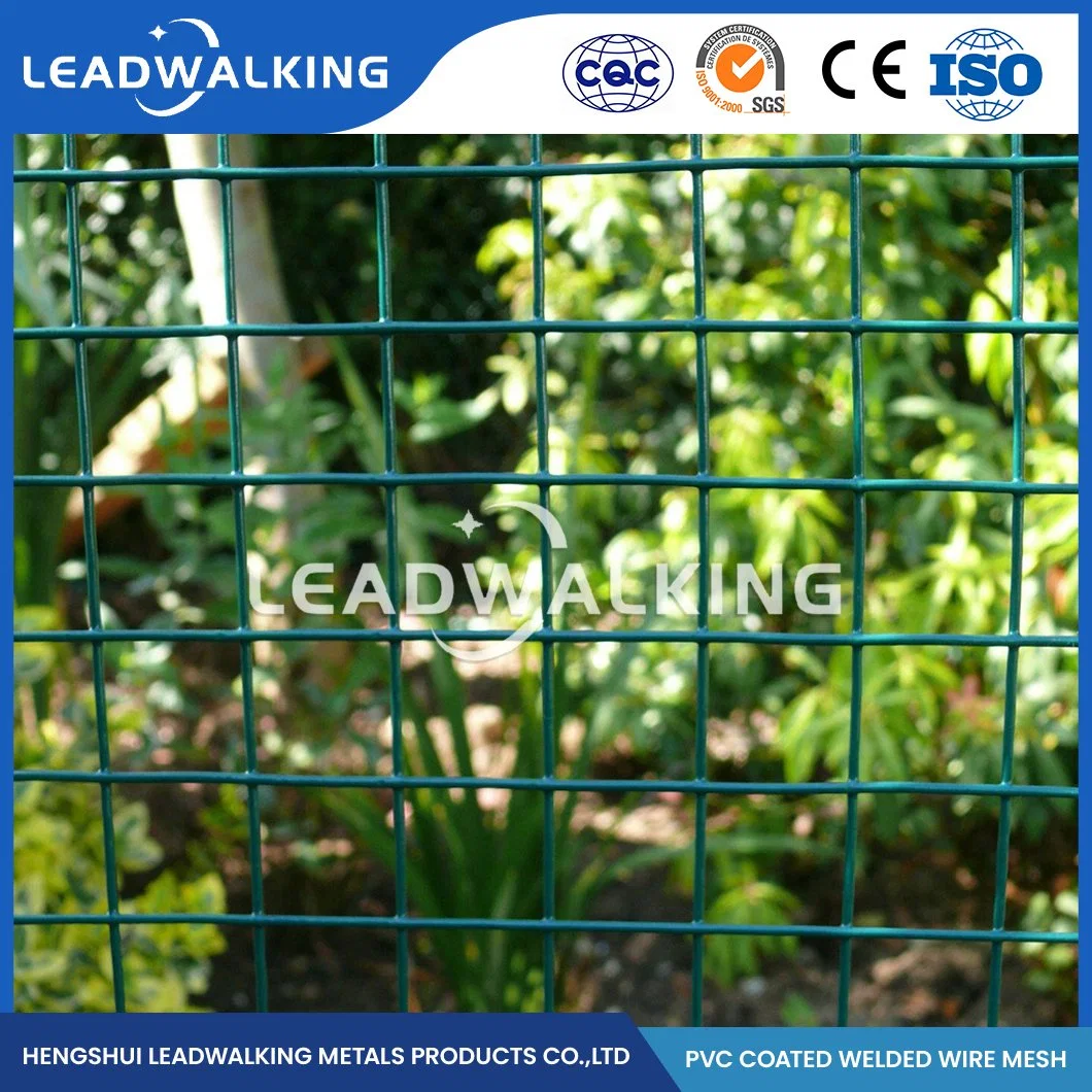 Los halos de acero galvanizado Leadwalking/Fábrica de mallas soldadas de malla de alambre galvanizado mayorista China 10.0x10.0mm Electric galvanizado recubierto de PVC mallas soldadas