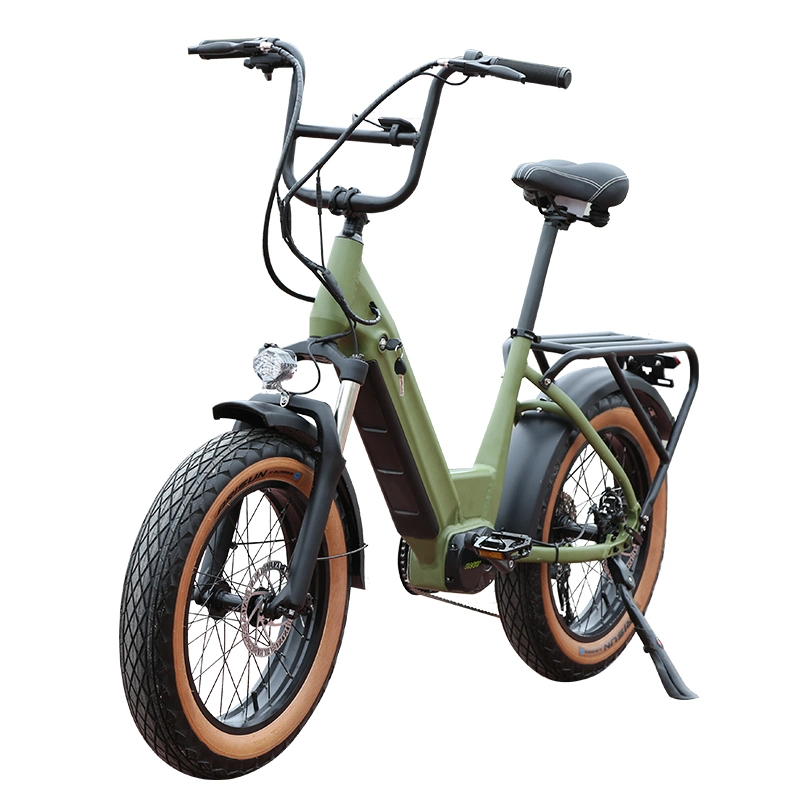 Ebike Folding Electric Bike Electric Bike 500W Ebike