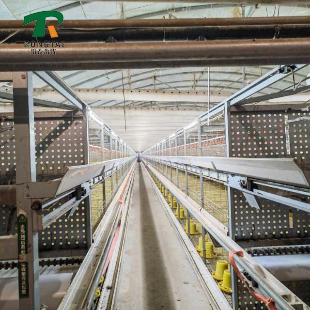 a Type Battery Layer Chicken Cages Automatic Egg Poultry Farming Equipment System