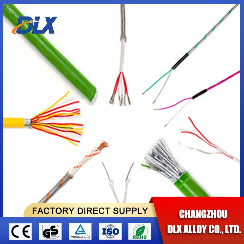 Changzhou Dlx 0.30/0.5mm Platinum Rhodium S Type Type B Thermocouple