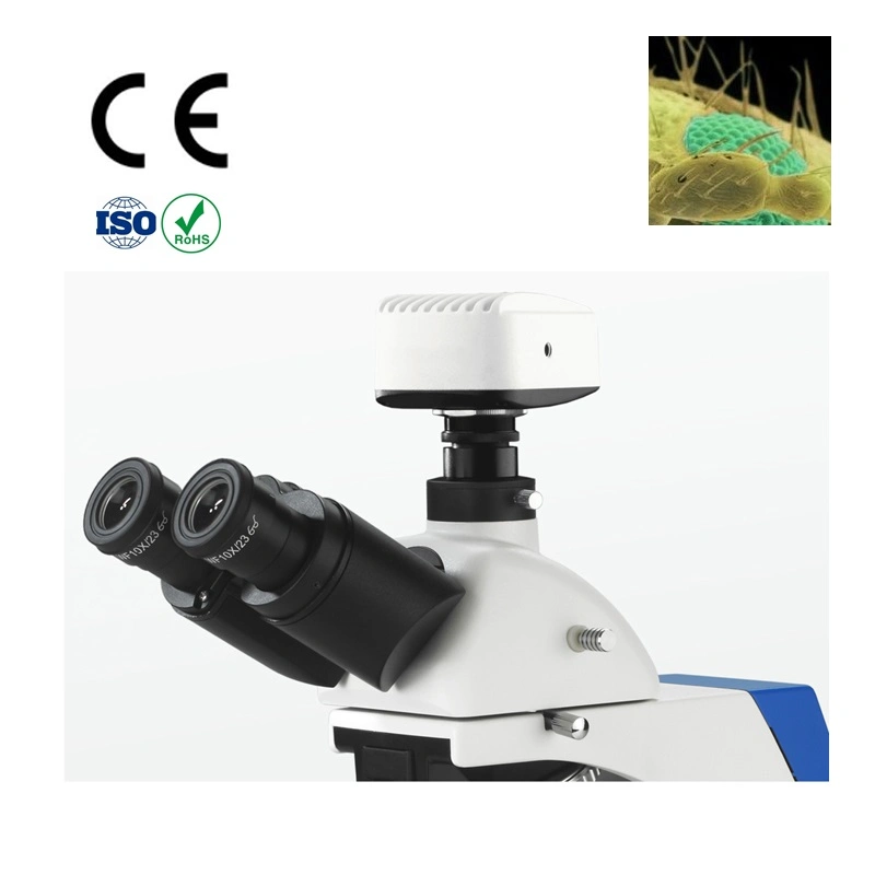 1600X Trinocular Biological Student Microscope with Eyepiece Tube Dia. 30mm 360 Degree Rotatable