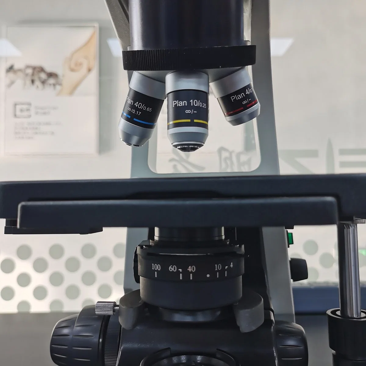 Biological Microscope with Screen and Camera