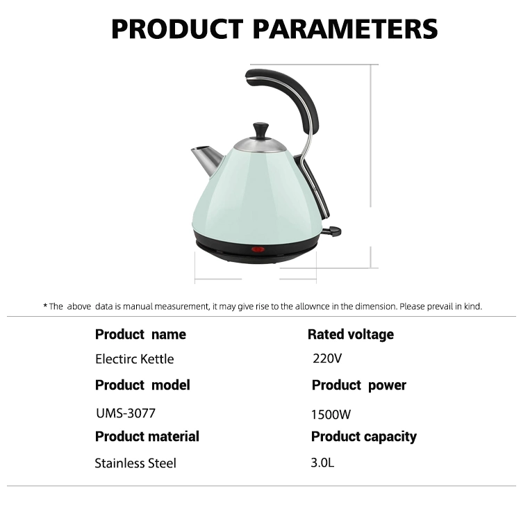 3L Stainless Steel Electric Kettle Water Boiling Home Appliance for Hot Water Coffee, Tea Kettle