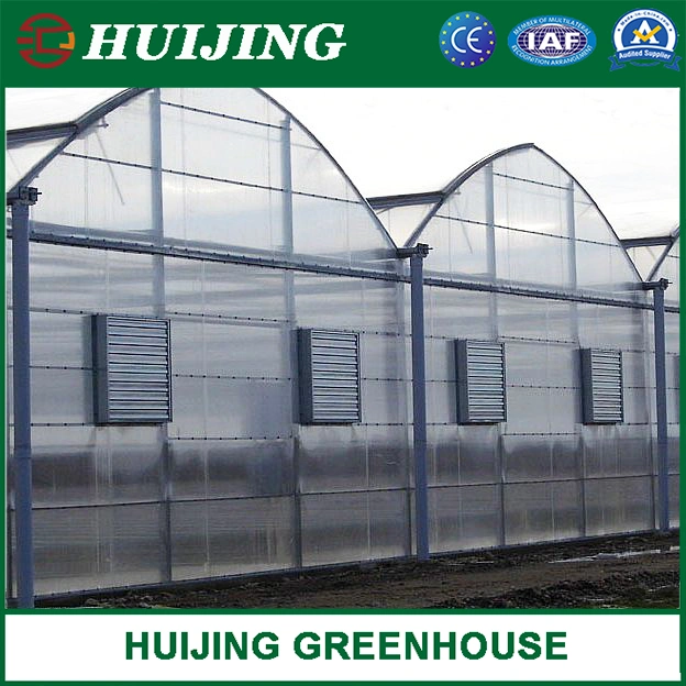 Gothic Multi Span Polycarbonate Greenhouse for Vegetables/Fruits/Flowers