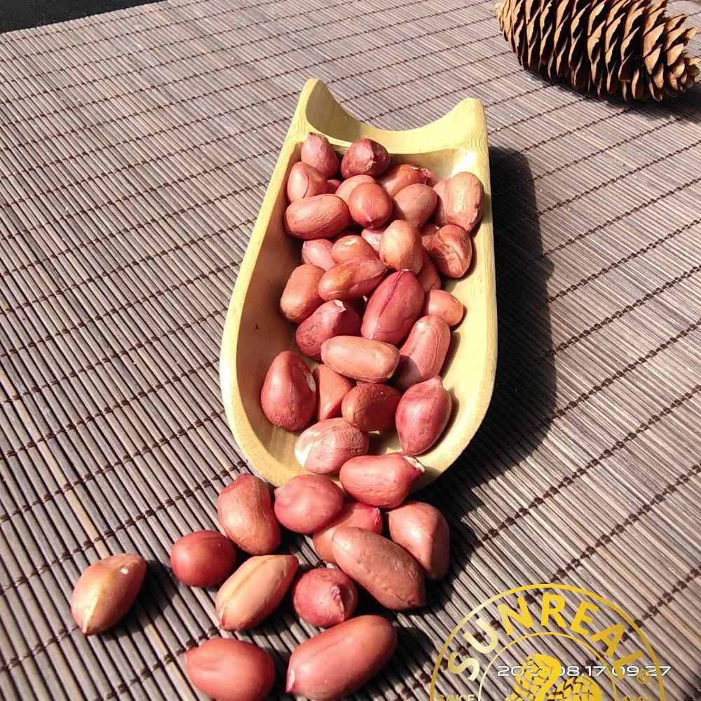 Raw Peanut Kernels/Red Skin/Superior Quality/Multipurpose/Pukee Foods/Sunreal