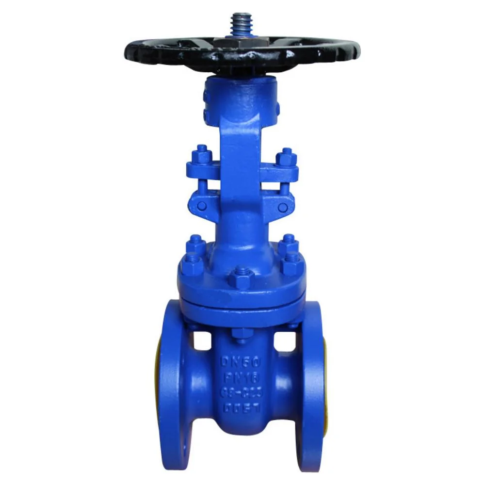 ضغط طرف الشفة 1 بوصة 300# RF Cast Steel Gate Valve